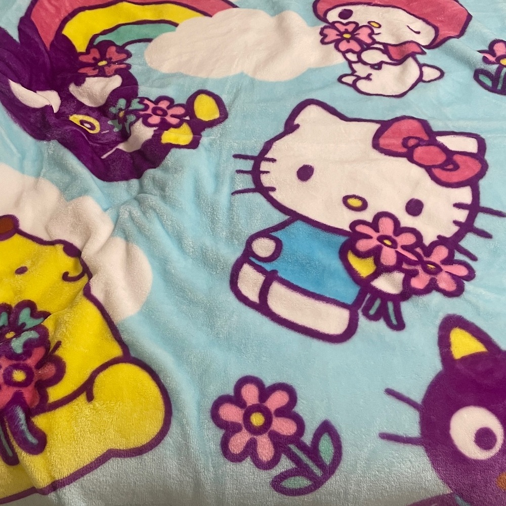 Hello Kitty and friends twin blanket